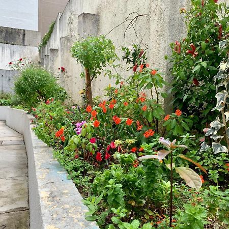 205- Apartamento 1 Quarto Suite, Encantador, Amplo E Decorado, Mobiliario Moderno, Cozinha Completa Com Utensilios , Excelente Vista Da Cidade E Localizacao Privelegiada No Bairro Bigorrilho , Κουριτίμπα Εξωτερικό φωτογραφία